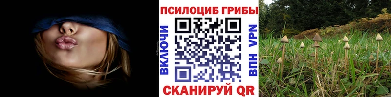 Псилоцибиновые грибы мухоморы  сколько стоит  Подольск 